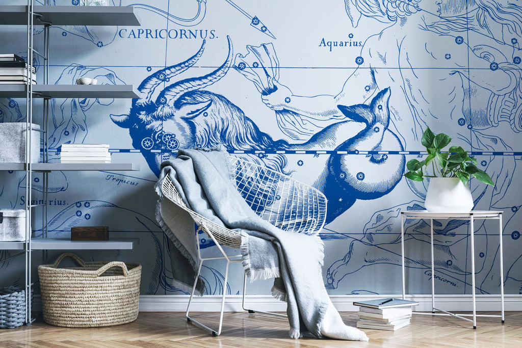 Zodiac astrology sign carpicorn wallpaper and wall mural