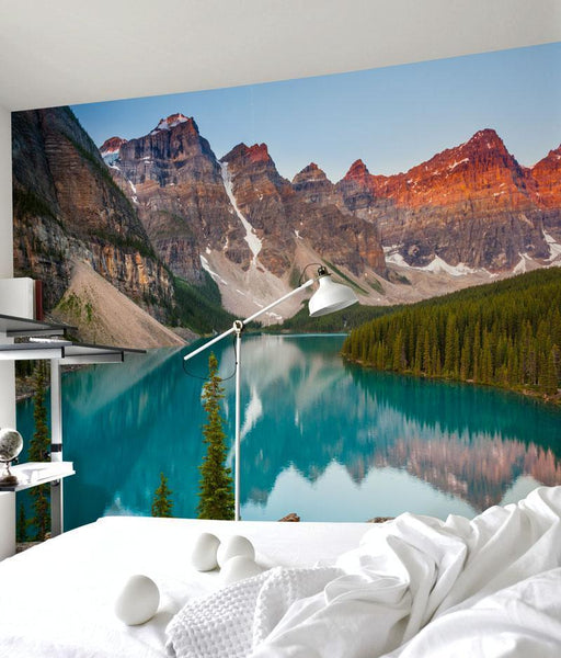 10 national parks as wall murals