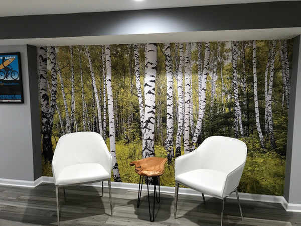 birch-forest-nature-earth-wall-mural-wallpaper