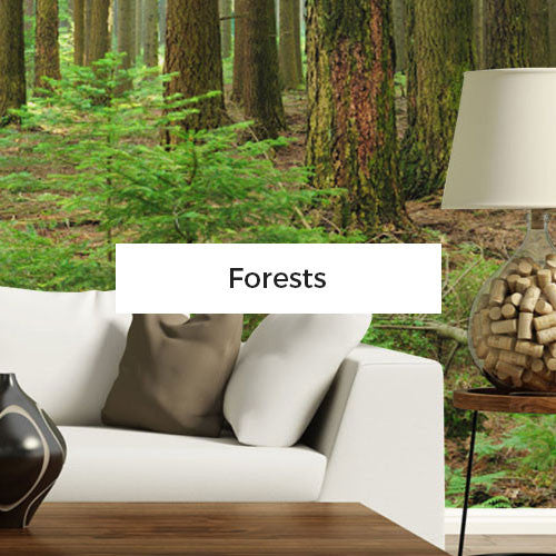Forest Wall Murals landscape wall murals - nature wall murals | eazywallz – eazywallz Forest Wall Murals landscape wall murals - nature wall murals | eazywallz – eazywallz