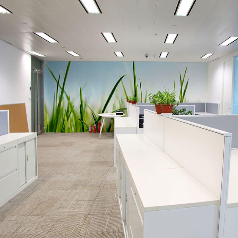 Wall Murals for businesses boardroom wallpaper for office eazywallz