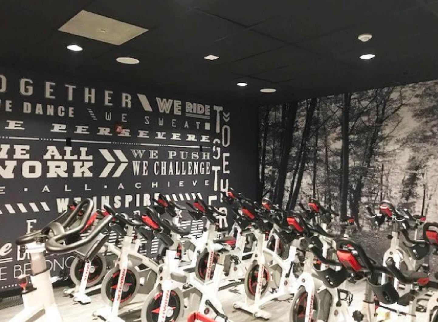 Wall mural ideas for the gym