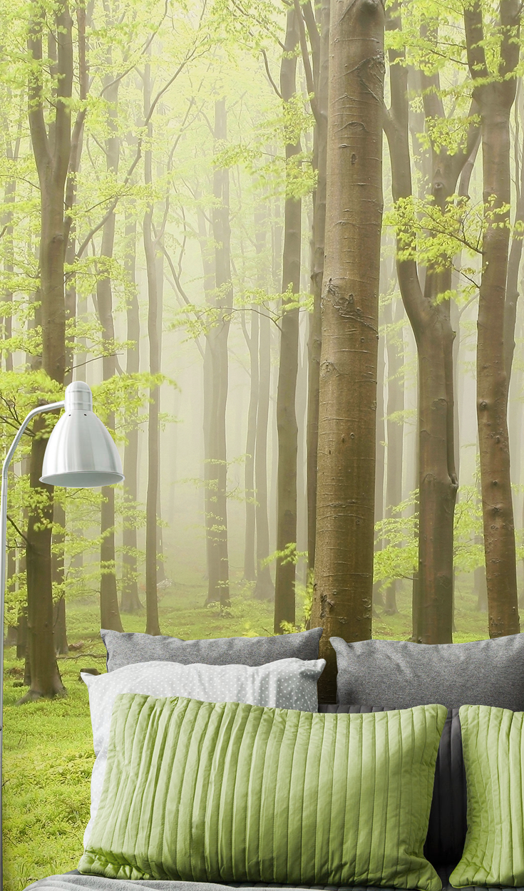 Forest in spring Wall Mural