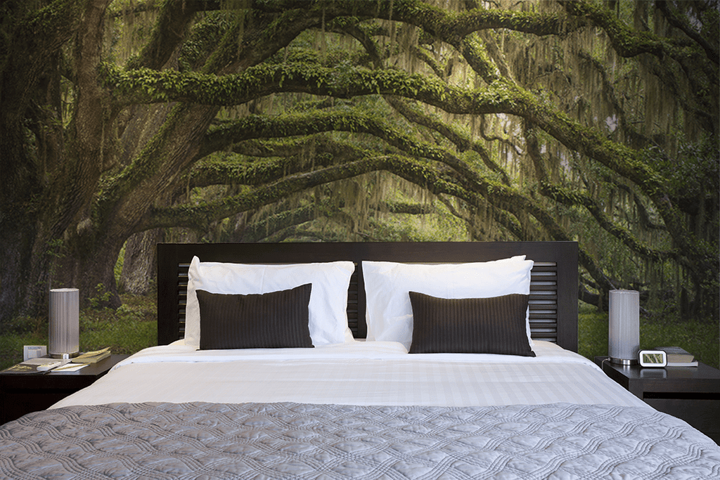 OAK TREE FOREST WALL MURAL