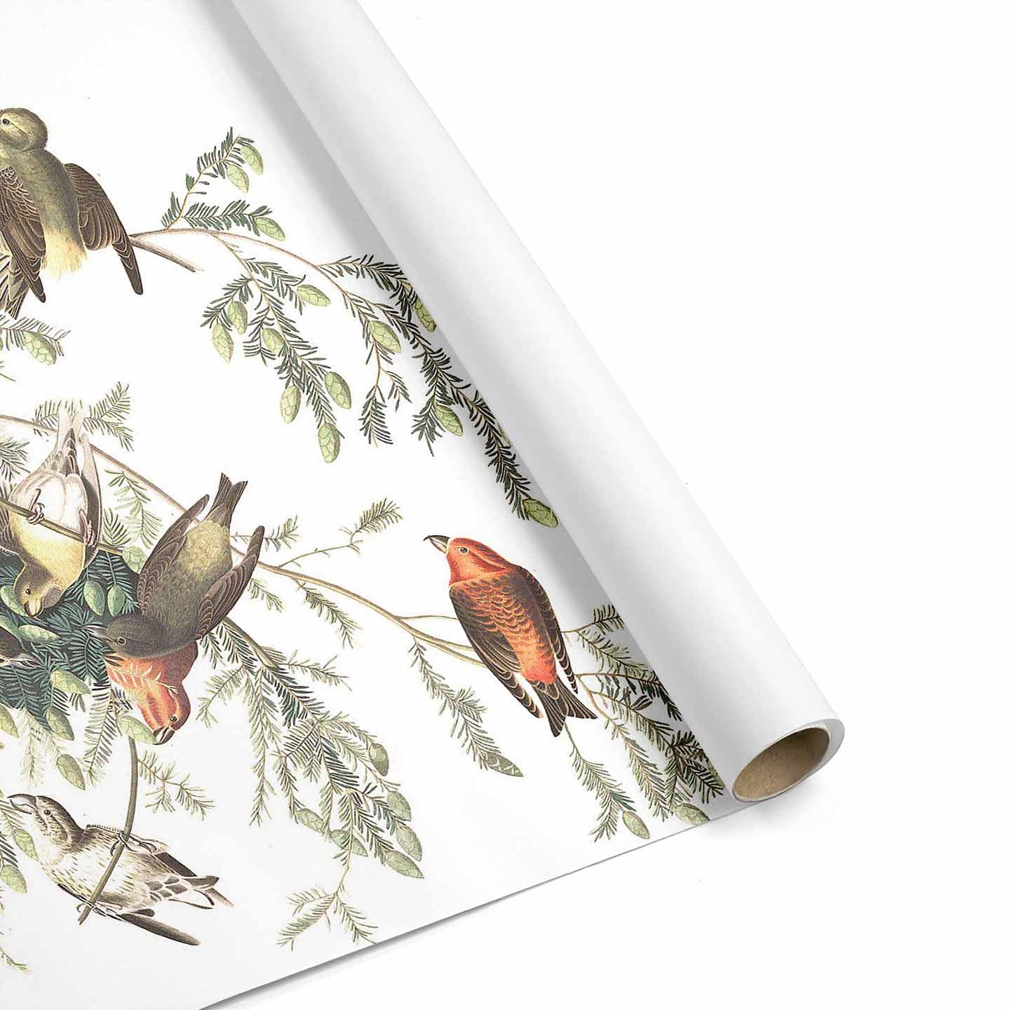 top 3 bird wallpaper designs