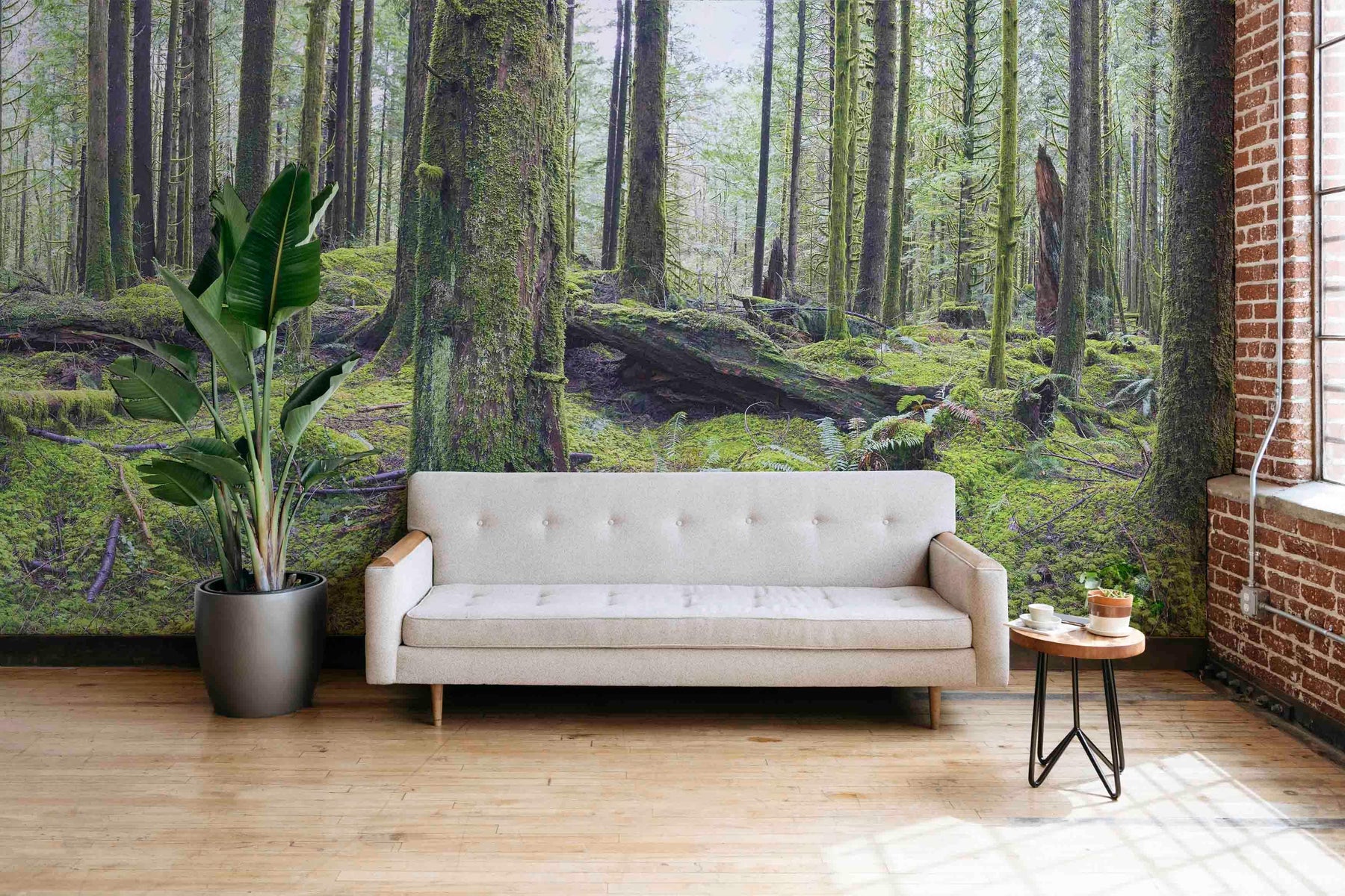 Mountain Pine Forest Landscape Wall Mural Living Room Decor Self
