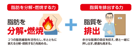 Goodsania Japan Naisitol Slimming Diet Weightloss Fat Burning Pills