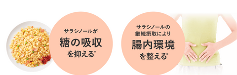 Goodsania Japan Fuji Film Metabarrier EX Premium Kudzu Flower Isoflavone tablets Diet Pills Reduce Sugar Absorption Weightloss Cut Belly Fat Lower BMI Slimming