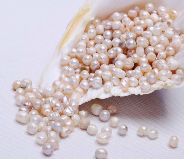 A picture of pearls in a shell