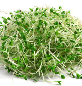 alfalfa benefits