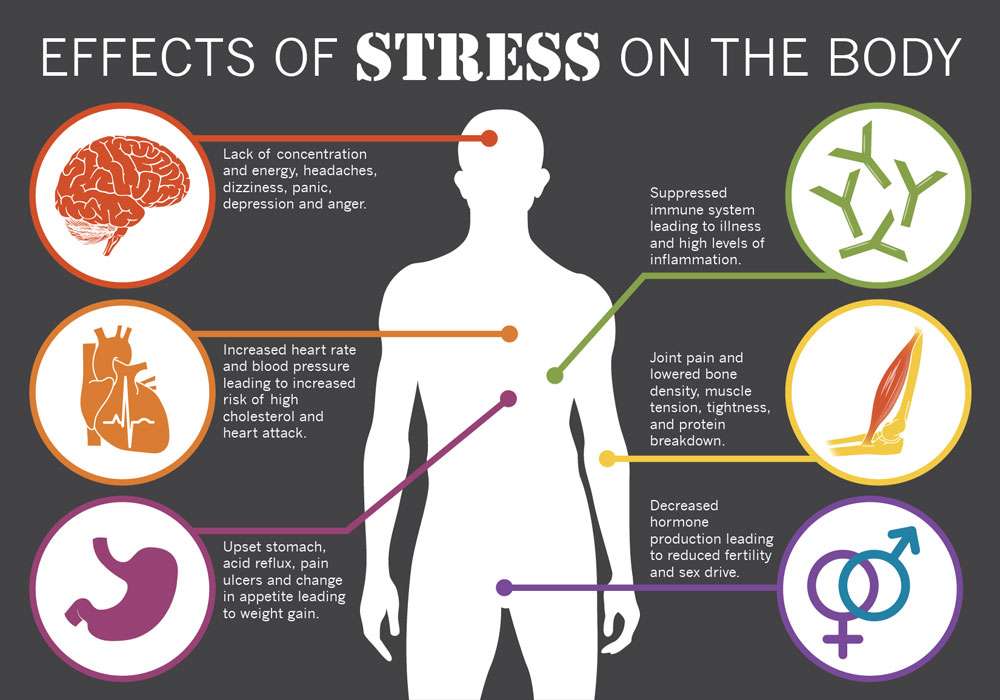 physical effects of stress