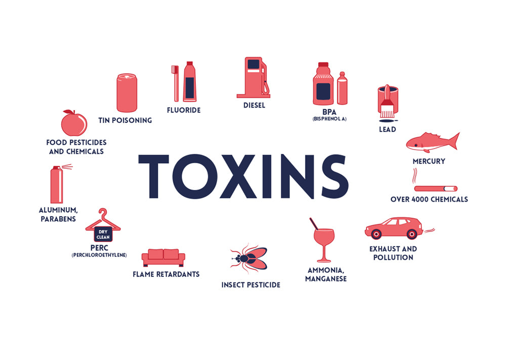 environmental toxins health effects