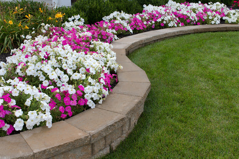 raised bed garden