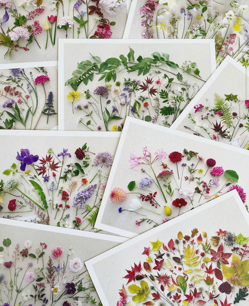 Pressed Flowers 