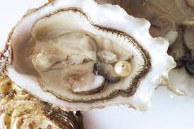 Pearl in Mollusc Shell