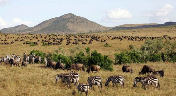 East Coast of Africa