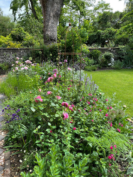 Garden Museum courtyard garden