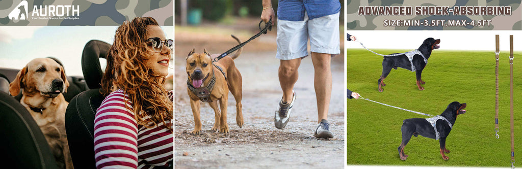 Dog Harnesses, Dog Leash, Shock Absorbing Dog Leash