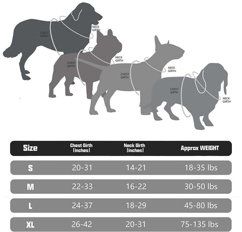 black dog harness size chart