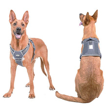 how does a front clip dog harness work