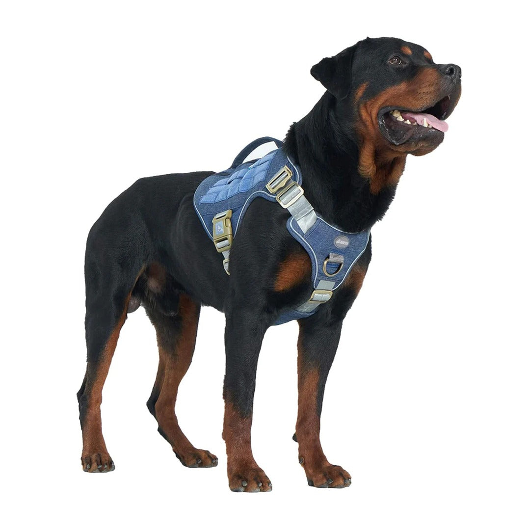 blue tactical dog harness