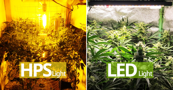 HPS compared with LED grow light