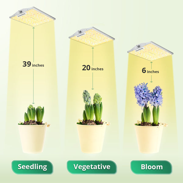 Should Grow Lights be Left on all the Time?