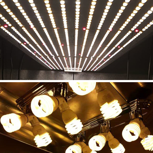 LED vs. CFL grow light