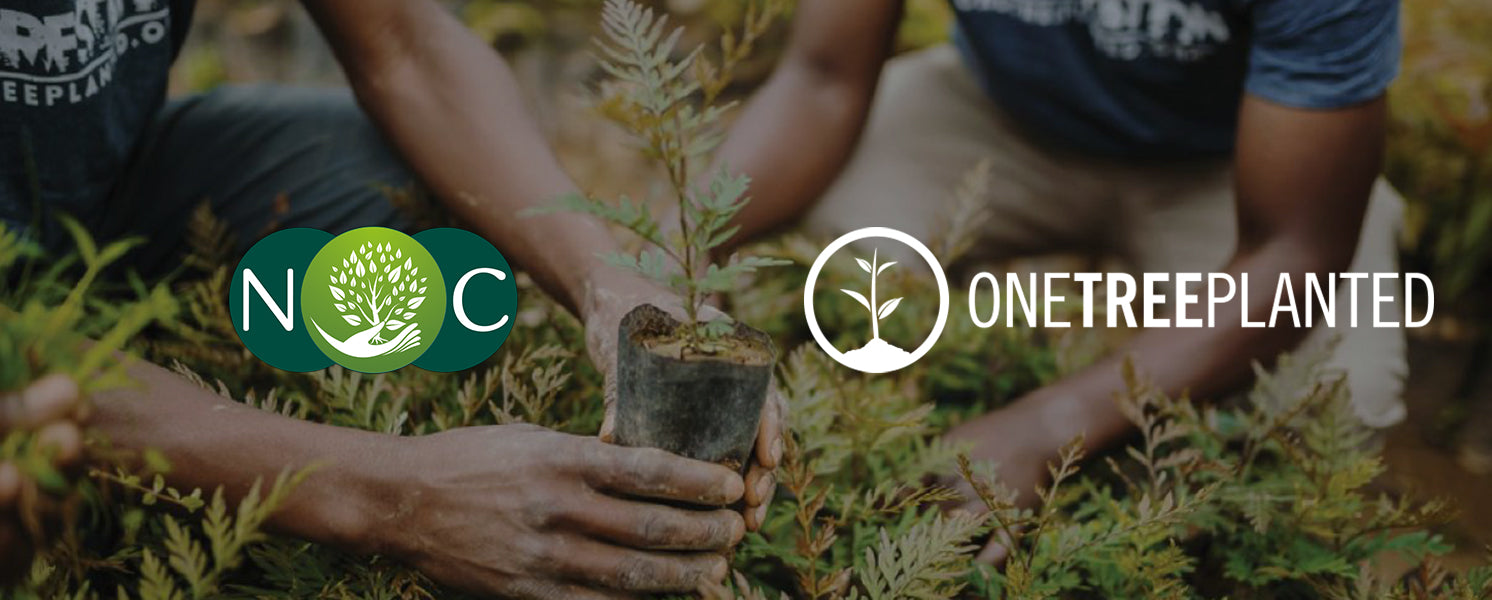 Plant Your Tree Today