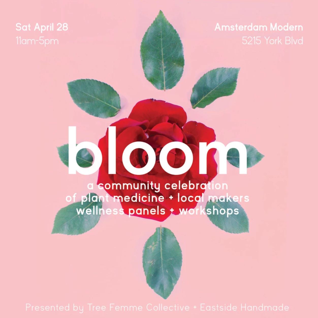 bloom makers market cbd and natural skincare products