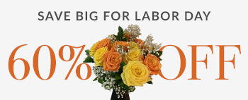 Save Big For Labor Day 60% Off!