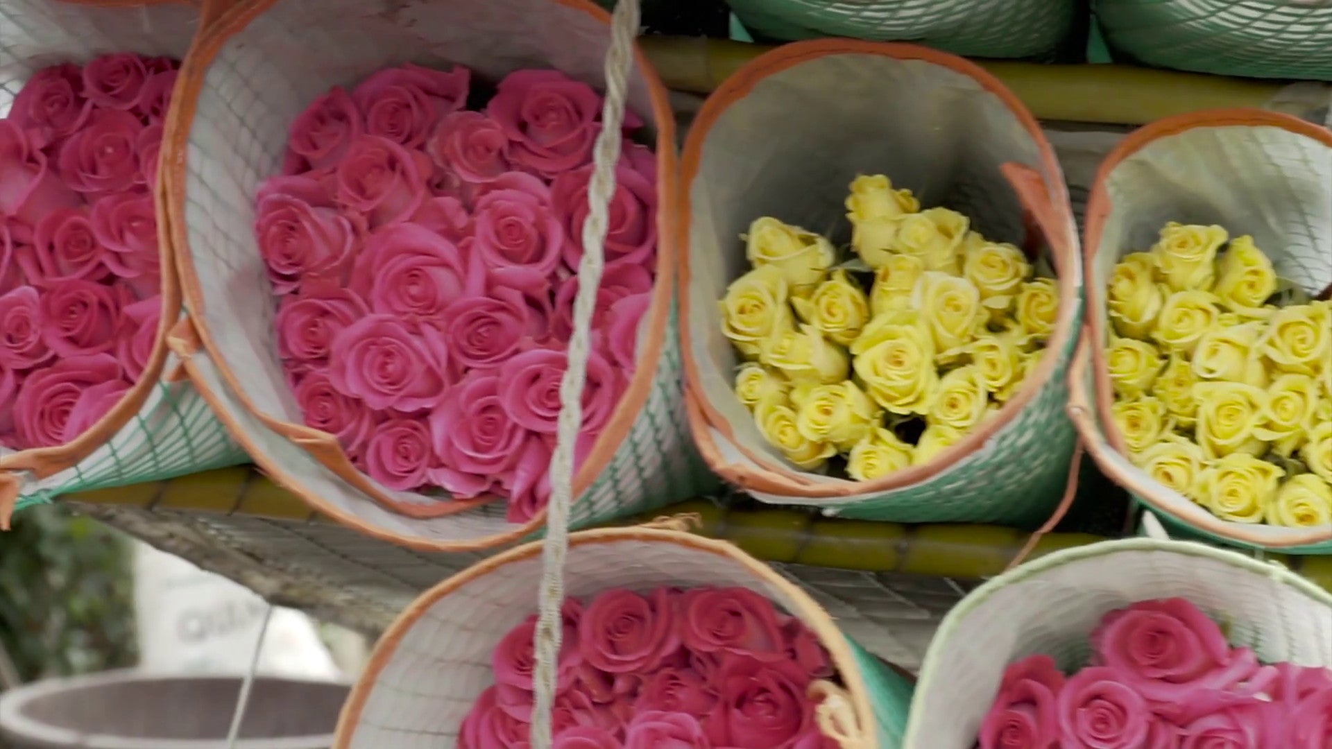 Rose Farmers, Farm Fresh Roses