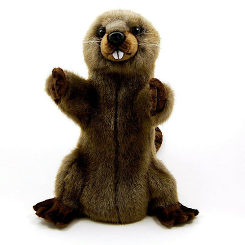 Beaver Hand Puppet Full Body Doll Hansa Real Looking Plush Animal Learning Toy