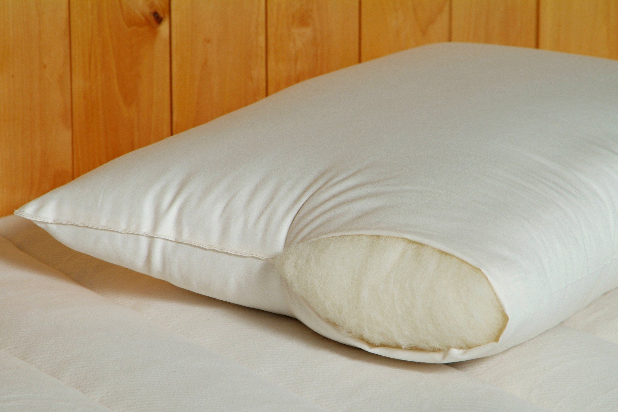 Child's Bed Pillow – Holy Lamb Organics