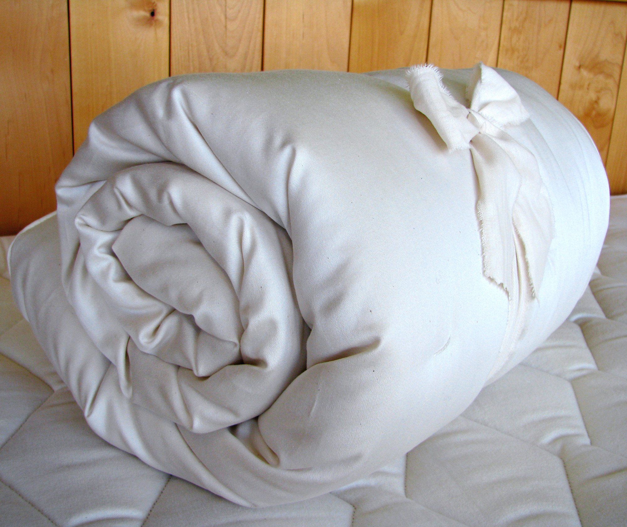 Certified Organic Wool Comforter - Clearance - Holy Lamb Organics