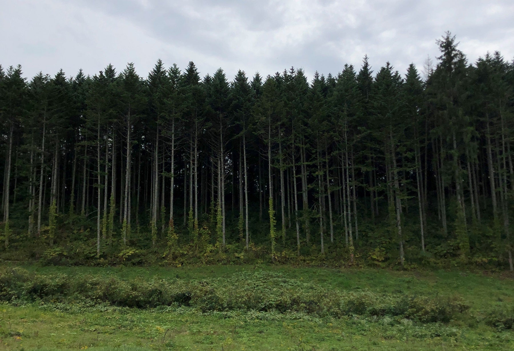 asahikawa hokkaido