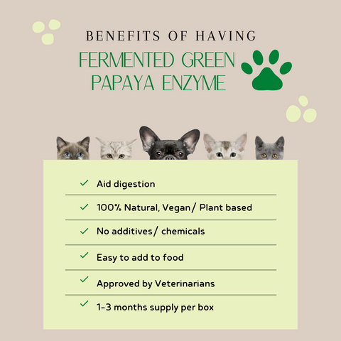 This picture shows the benefits of Fermented Green Papaya Enzyme for pets (dogs and cats).