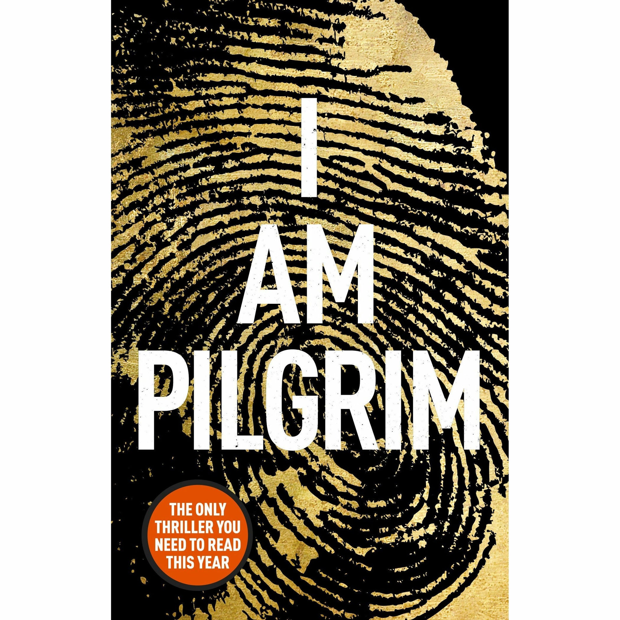 i am pilgrim book review