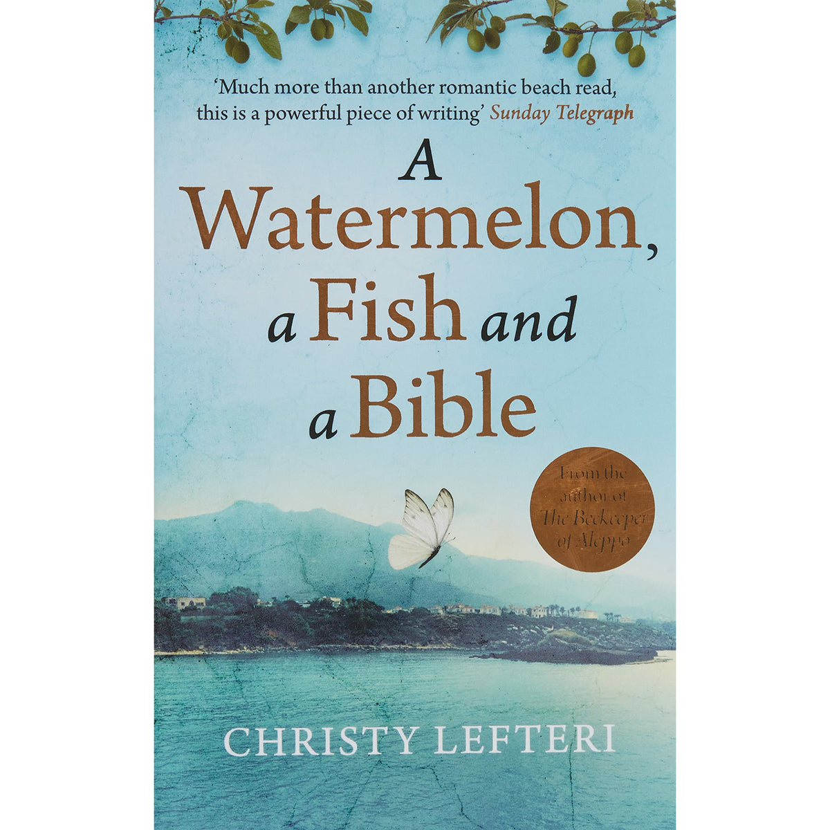 a watermelon fish and a bible proof christy lefteri