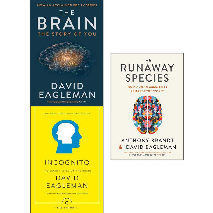 the brain by david eagleman book