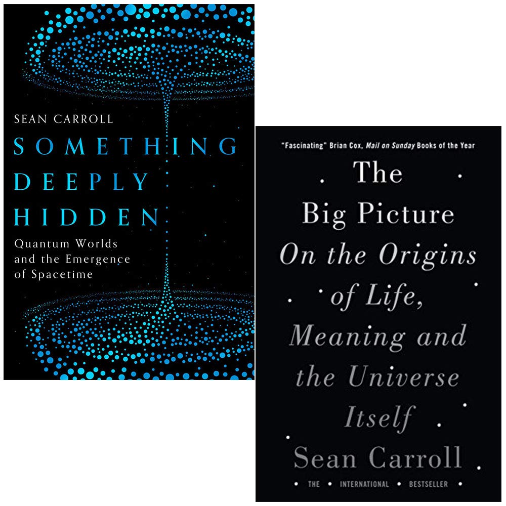 sean carroll many worlds book