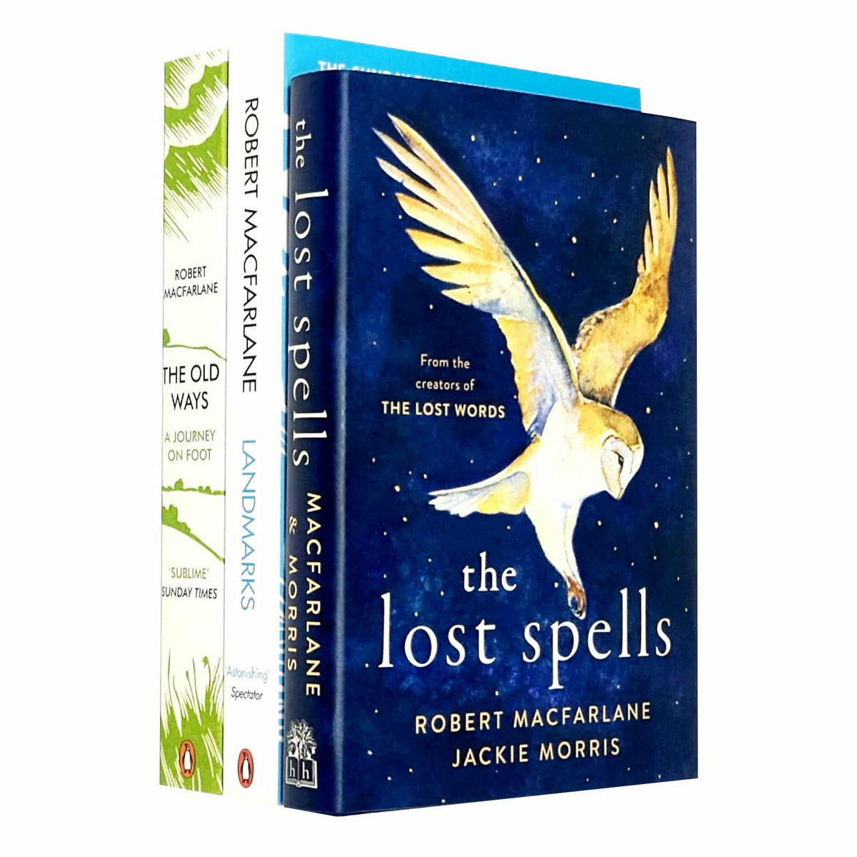 robert macfarlane the lost spells