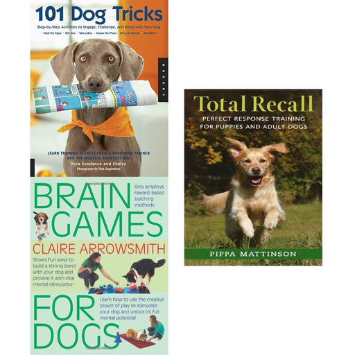 Brain games for dogs  Fun ways to start brain training your dog