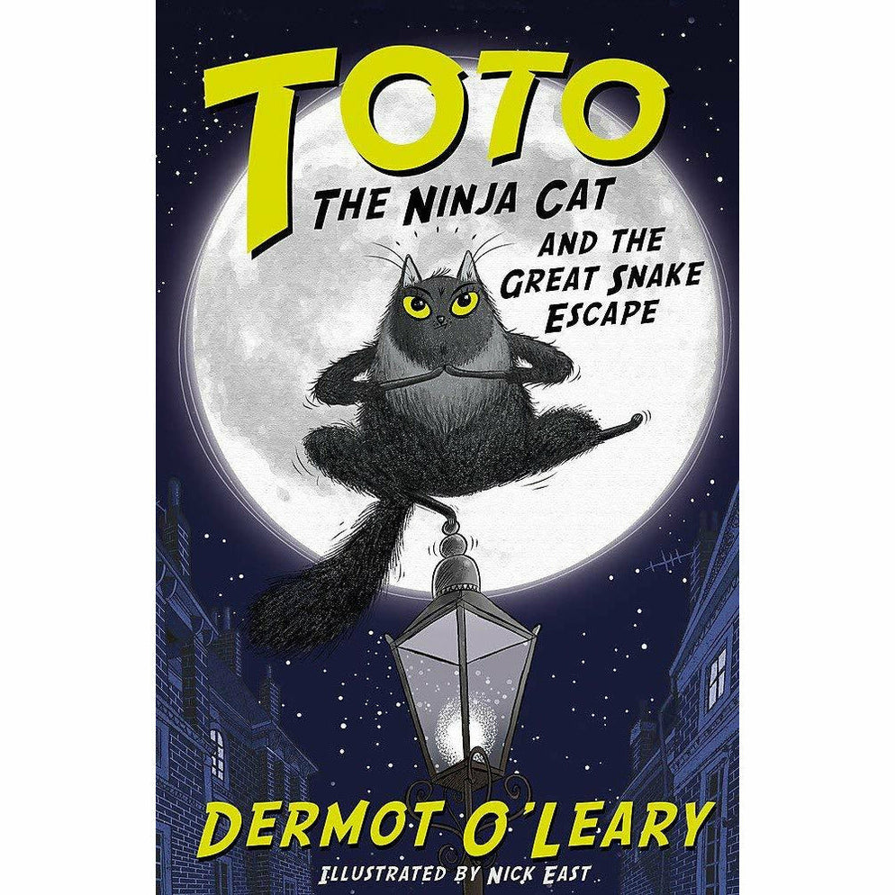 cat ninja book 9