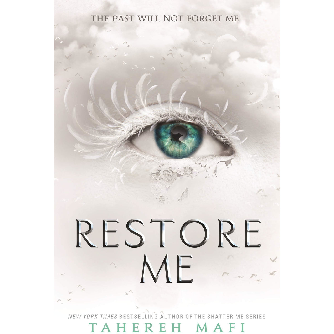 shatter me book