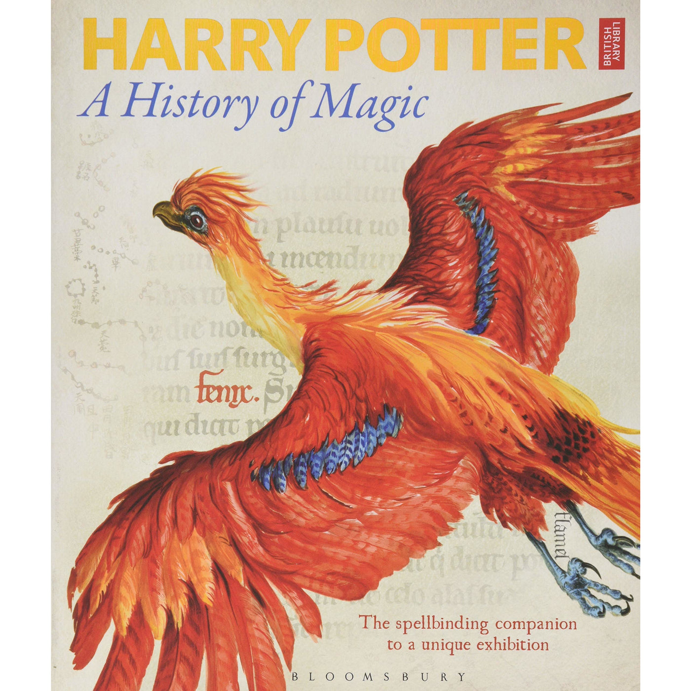 history of magic harry potter