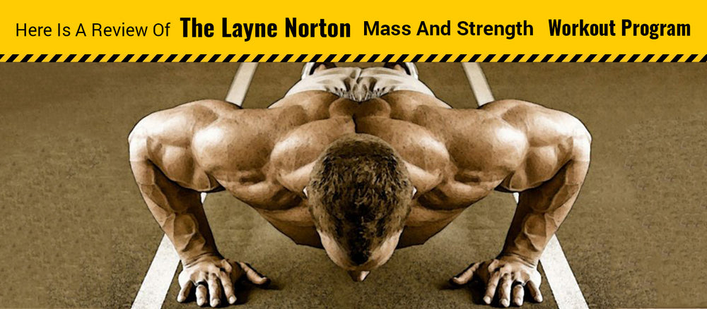  Layne Norton Workout Plan for Beginner