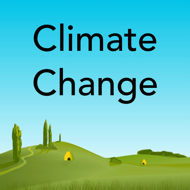 climate change case study ks2