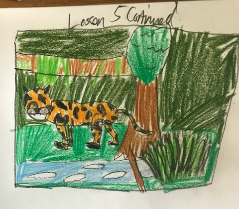 Live Learning Session Drawing Rainforest Animals 20