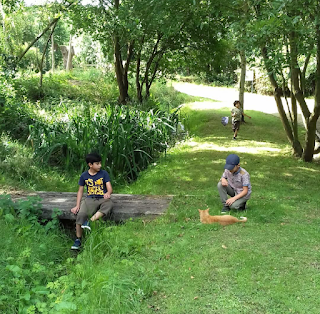 children outside on grass and a small wooden bridge